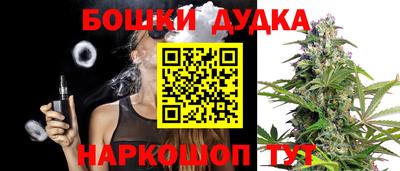 индика Кингисепп