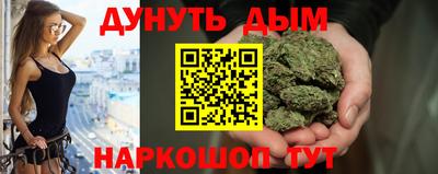 индика Кингисепп