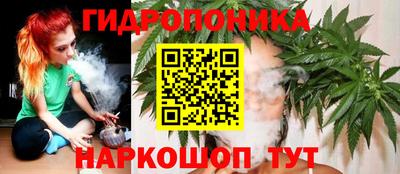 амф Кандалакша