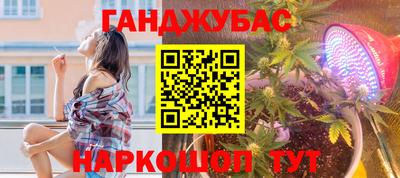 гидропоника Камышлов