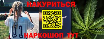 индика Кингисепп