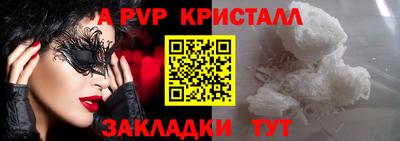 индика Кингисепп