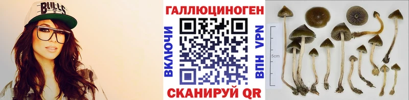 Галлюциногенные грибы MAGIC MUSHROOMS  Городец 