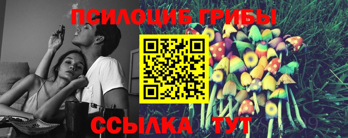 Галлюциногенные грибы ЛСД Городец
