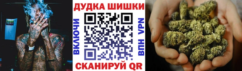 где можно купить   Городец  Бошки Шишки MAZAR 