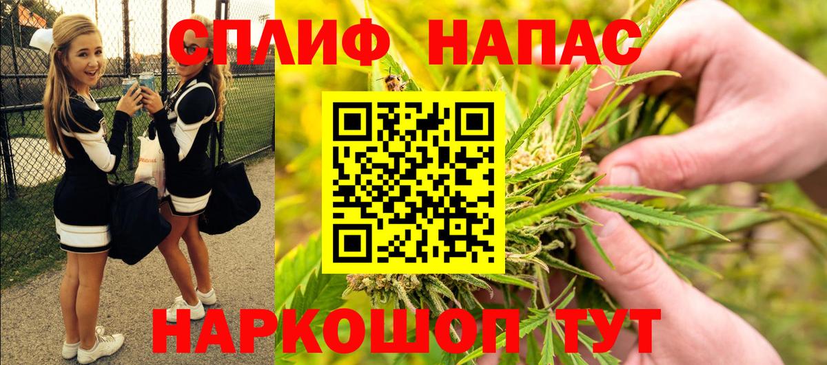 Конопля OG Kush Городец